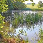 Durchblick zum Teich des malerisch gelegenen kleinen  Wassers,