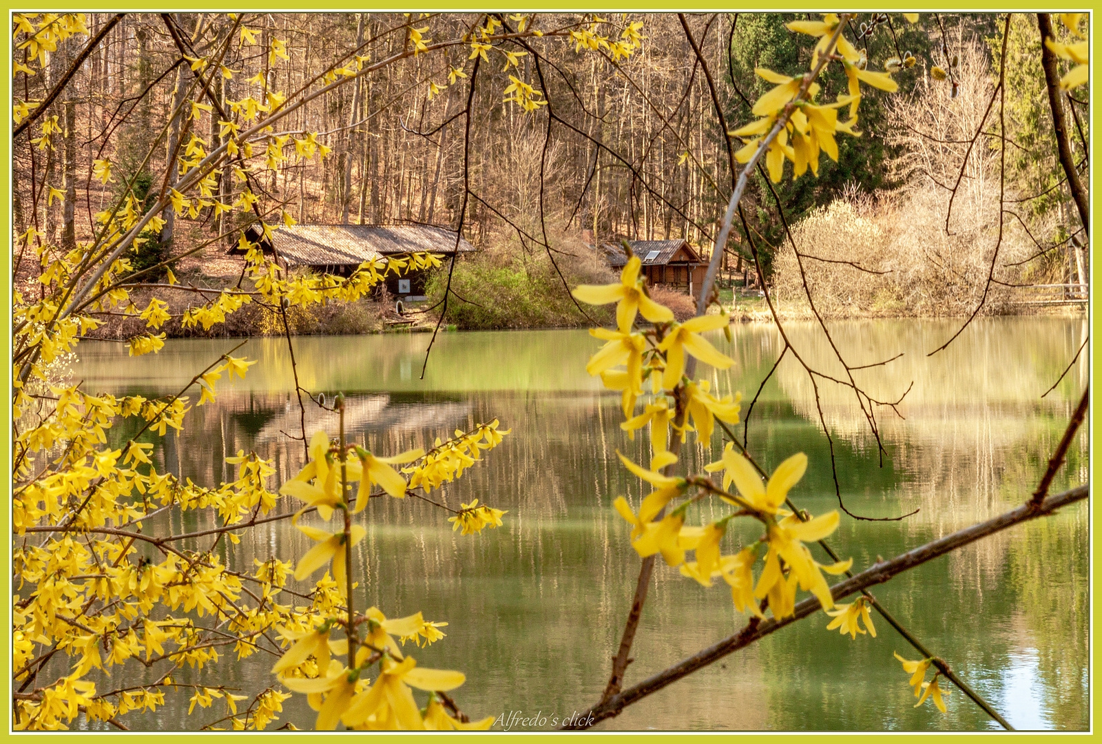 Durchblick zum Weiher*