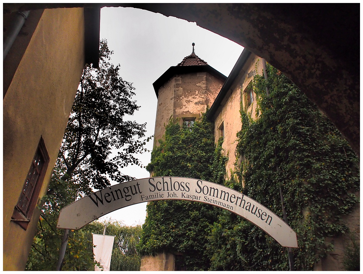 Durchblick zum Weingut Schloss Sommerhausen