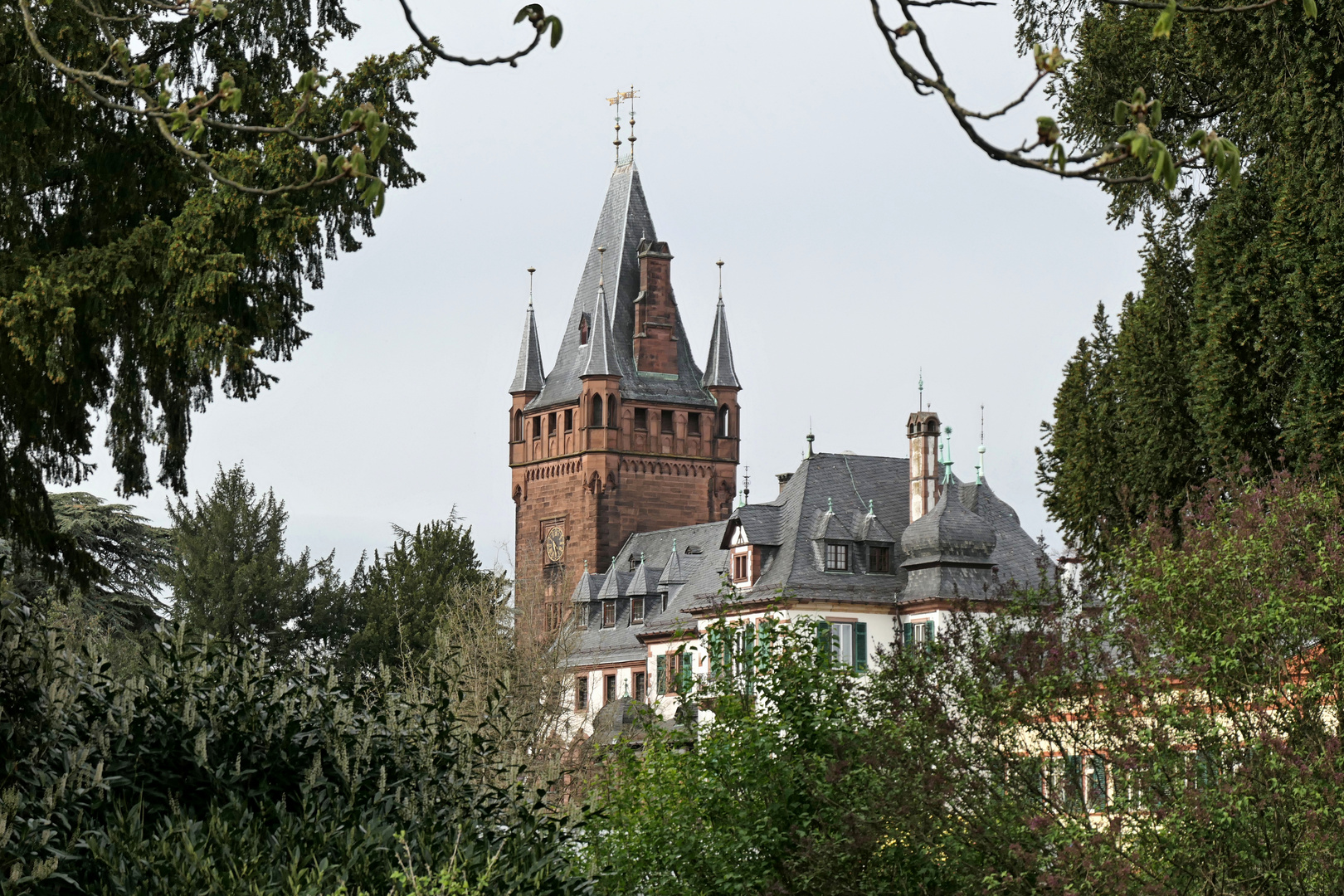 Durchblick zum Weinheimer Schloss