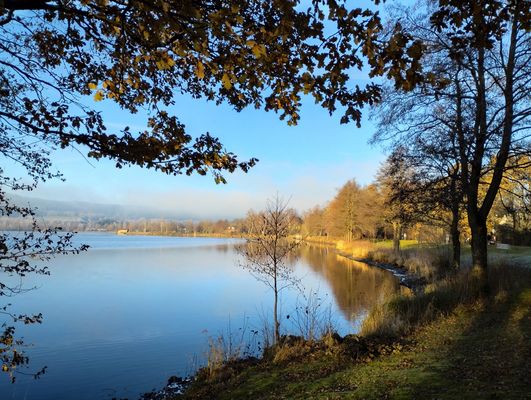 Durchblick zum Weißenstädter See