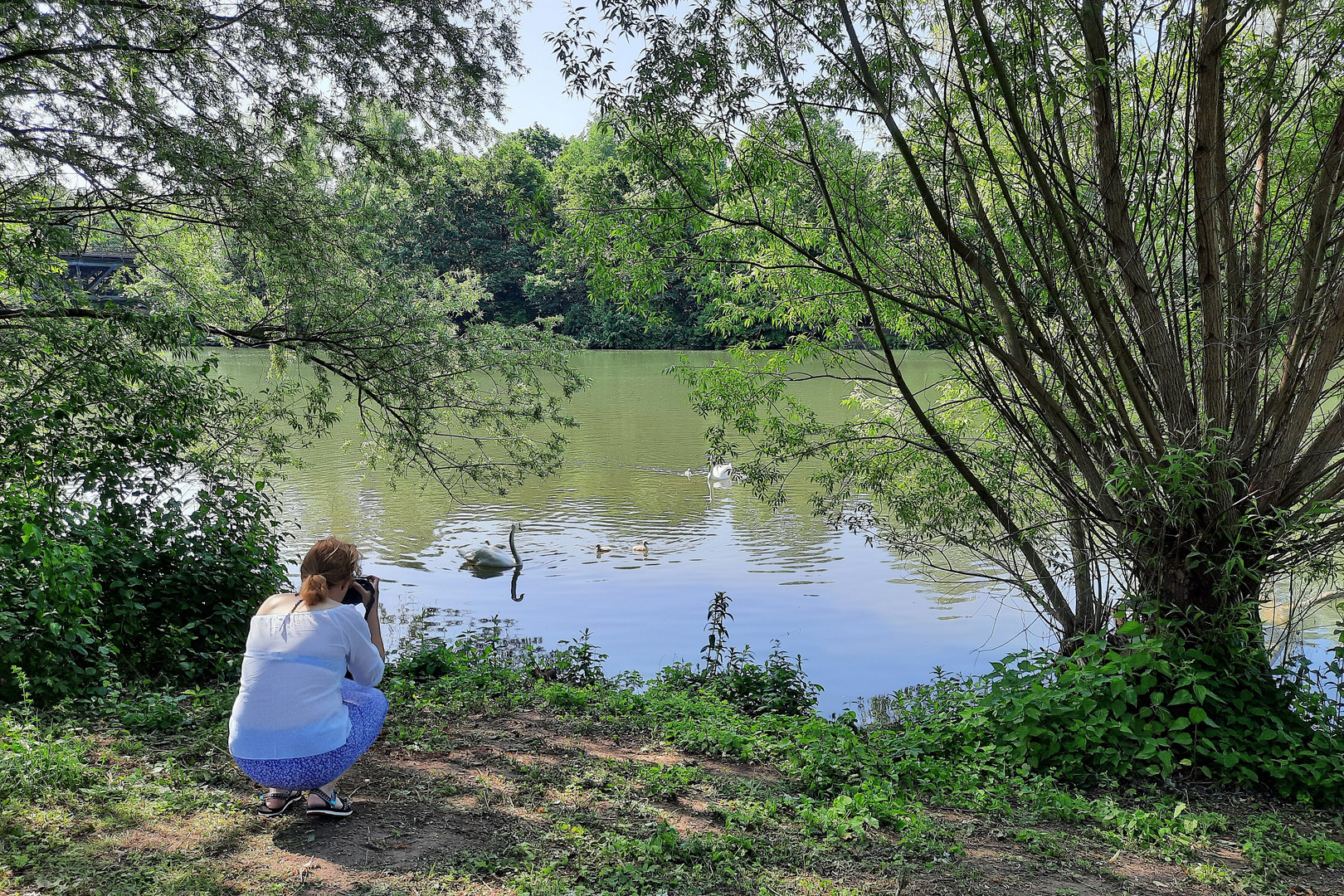  Durchblick zum Wöhrder See