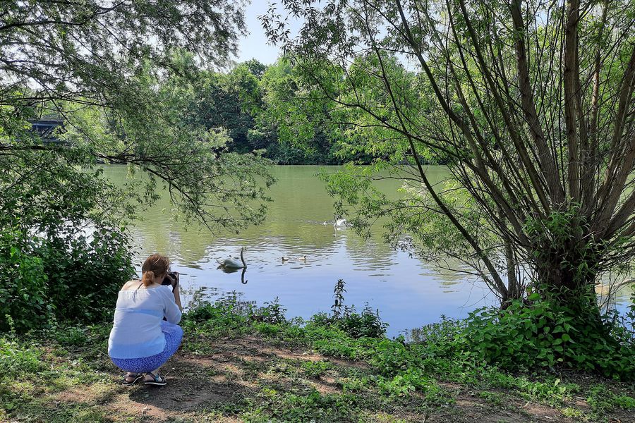 Durchblick zum Wöhrder See
