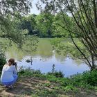  Durchblick zum Wöhrder See