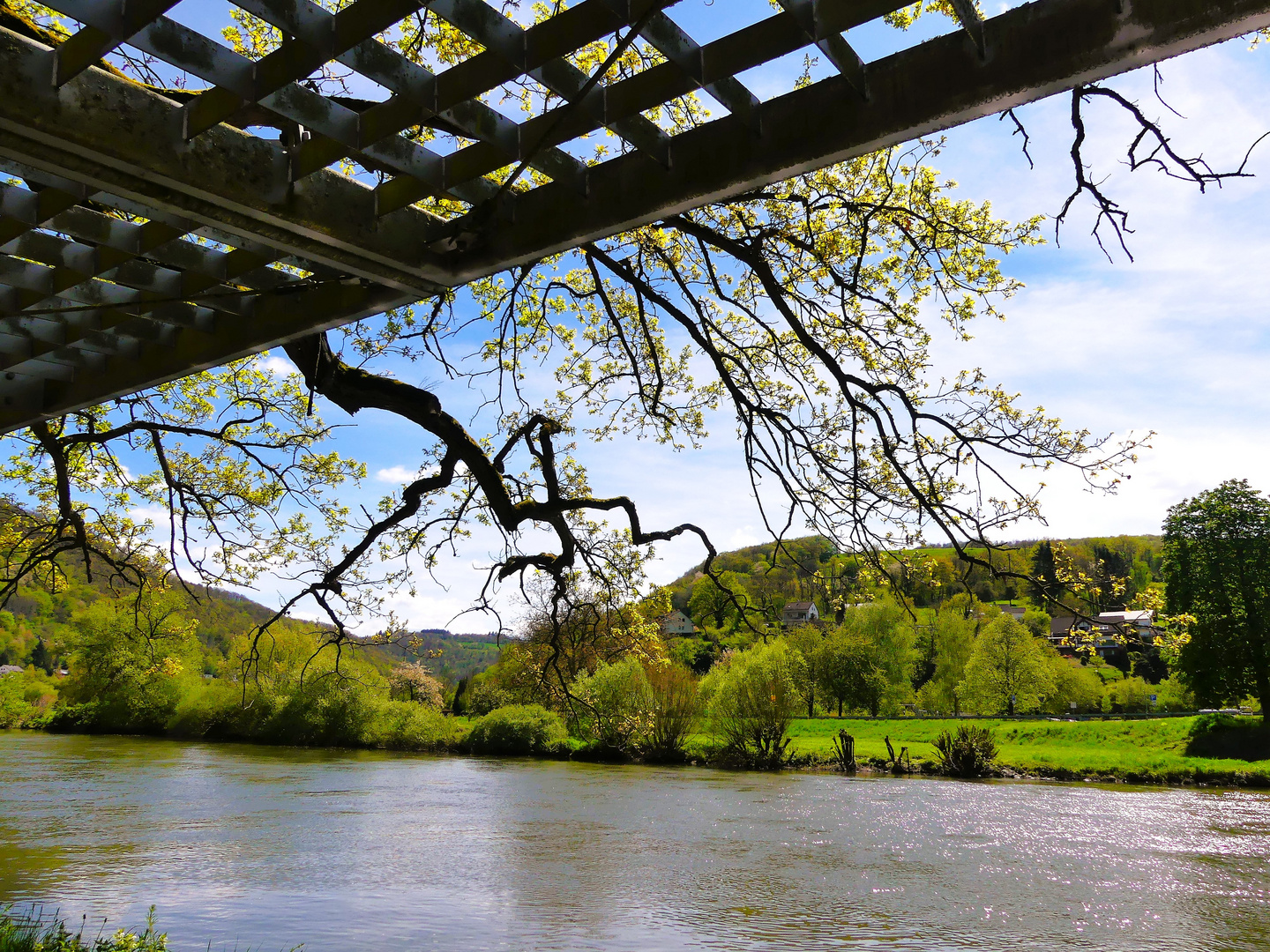 Durchblick zur Alten Eiche von Dausenau/Lahn.