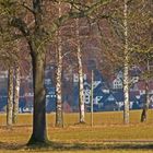 Durchblick zur alten Stadt Brevörde - Nachbargemeinde Polle (Weser)