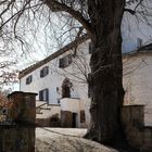 Durchblick zur Burg