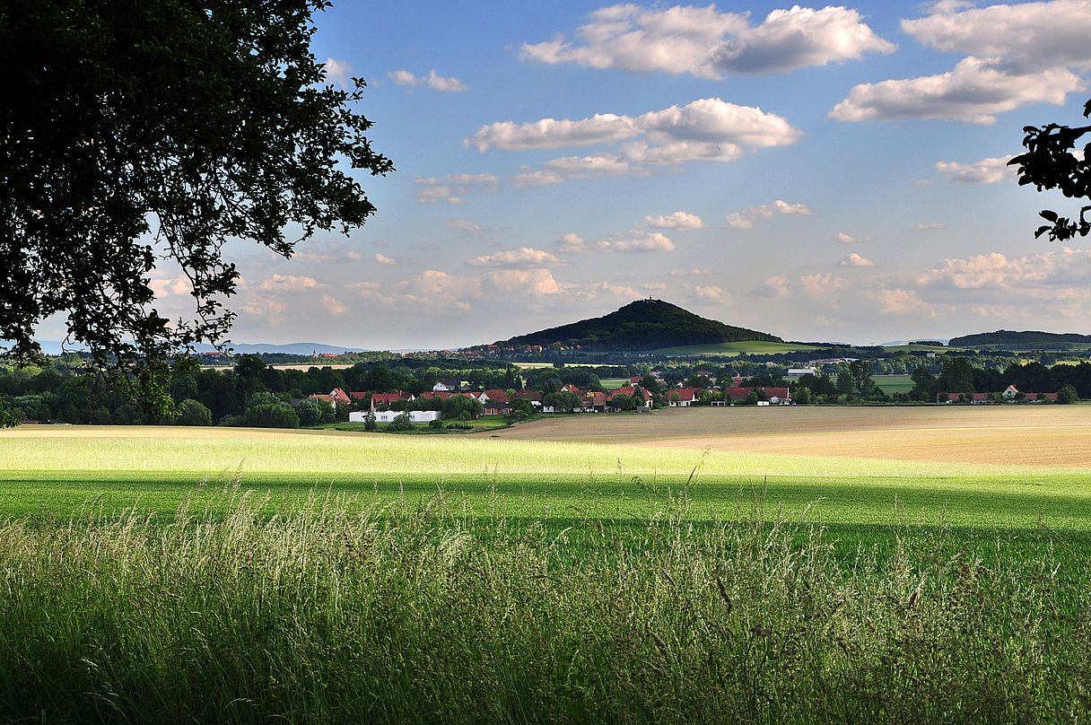 Durchblick zur Landeskrone, 