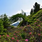 Durchblick zur Neunerspitze