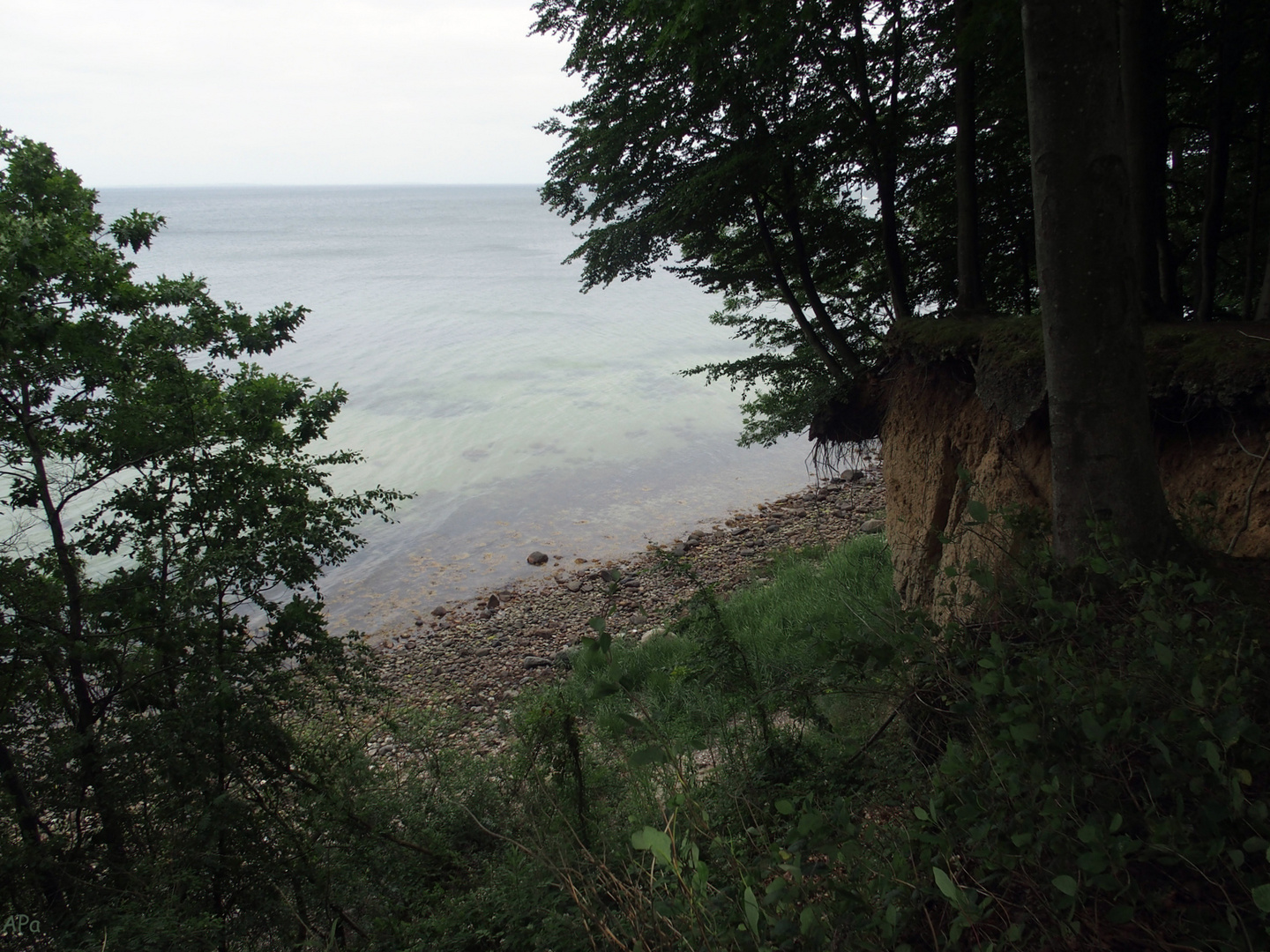 Durchblick zur Ostsee...