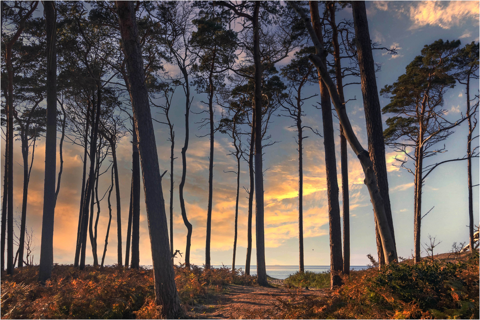 Durchblick zur Ostsee (Donnerstag mit Durchblick 10.11.2022)