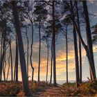 Durchblick zur Ostsee (Donnerstag mit Durchblick 10.11.2022)