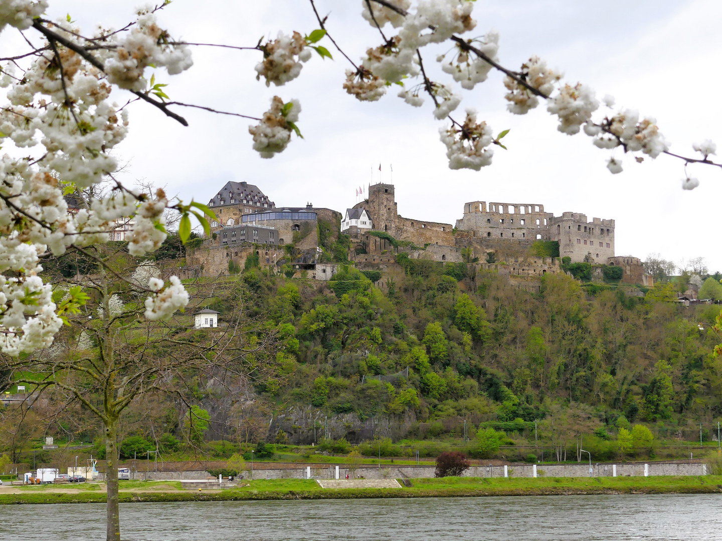 Durchblick zur Ruine Rheinfels in St.Goar