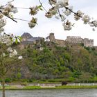 Durchblick zur Ruine Rheinfels in St.Goar