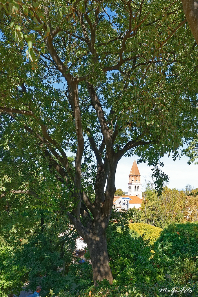 Durchblick zur Simeonskirche (Sveti Šimun) in Zadar