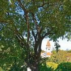 Durchblick zur Simeonskirche (Sveti Šimun) in Zadar