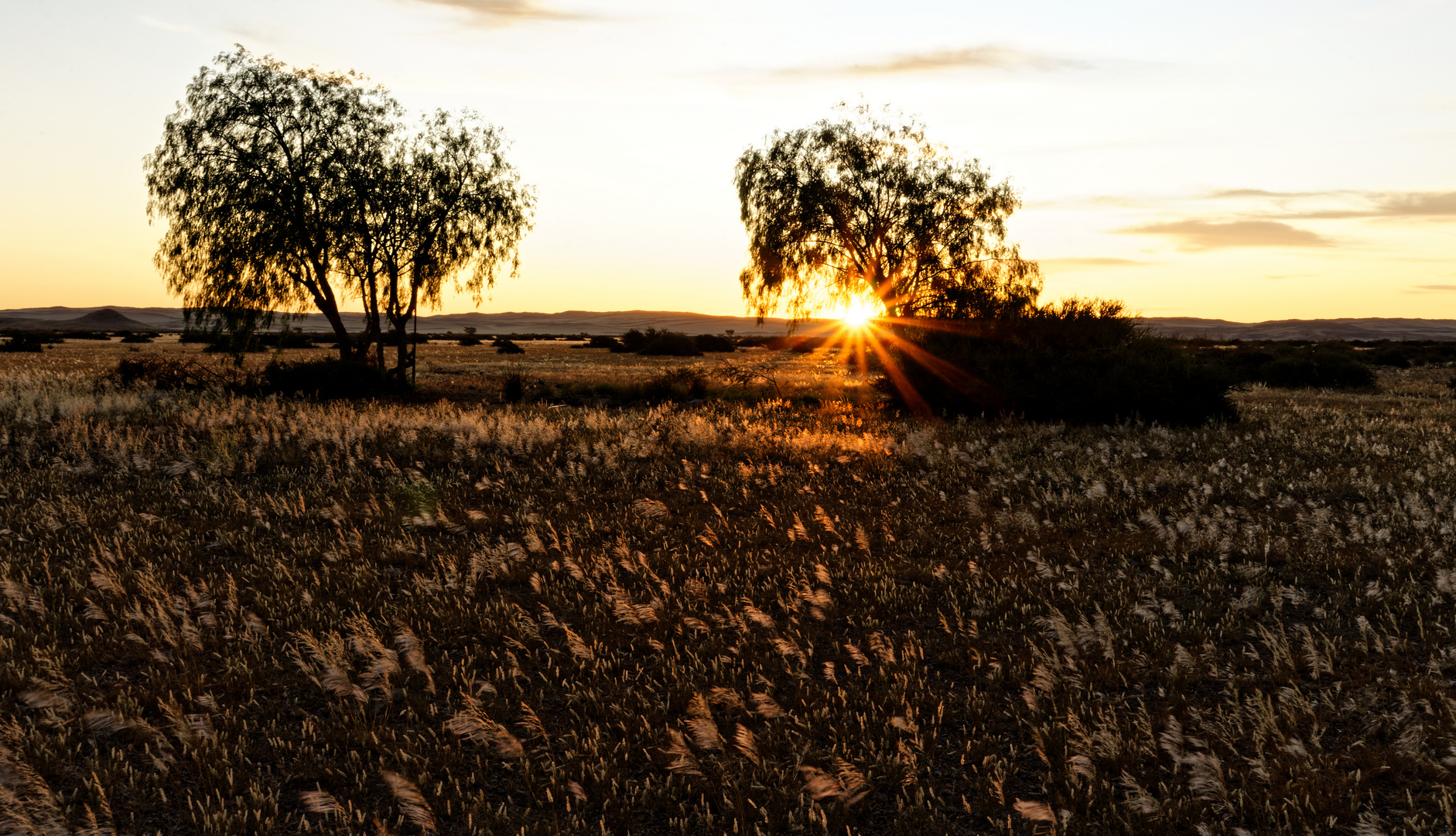 Durchblick zur Sonne