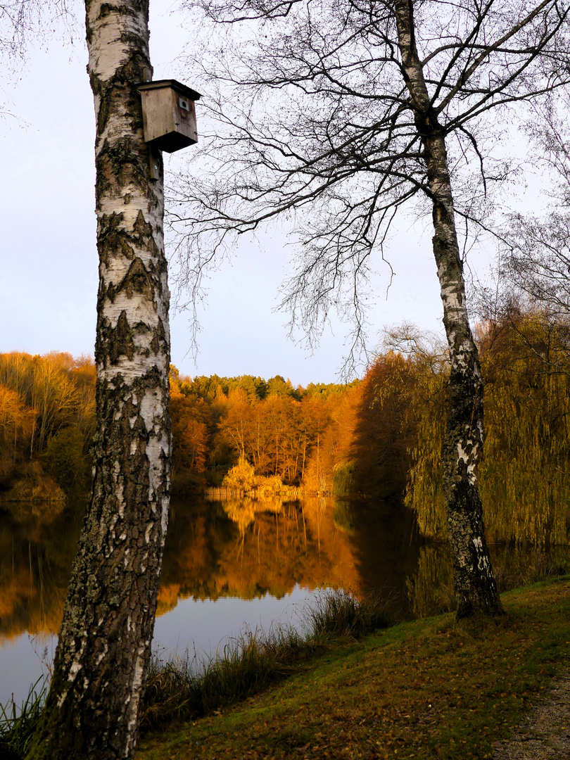 Durchblick zur Sonnenuntergangszeit