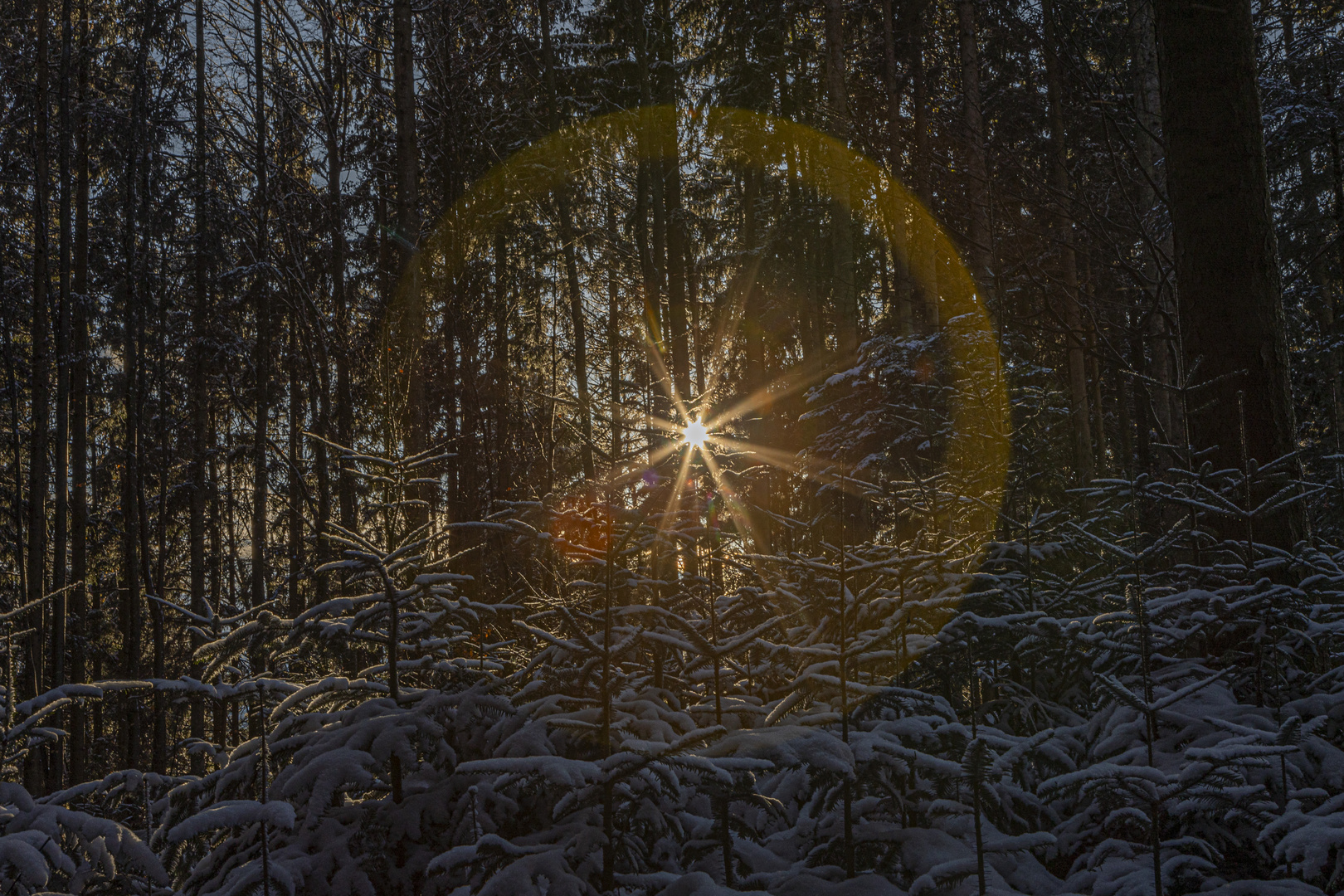 Durchblick zur untergehenden Sonne