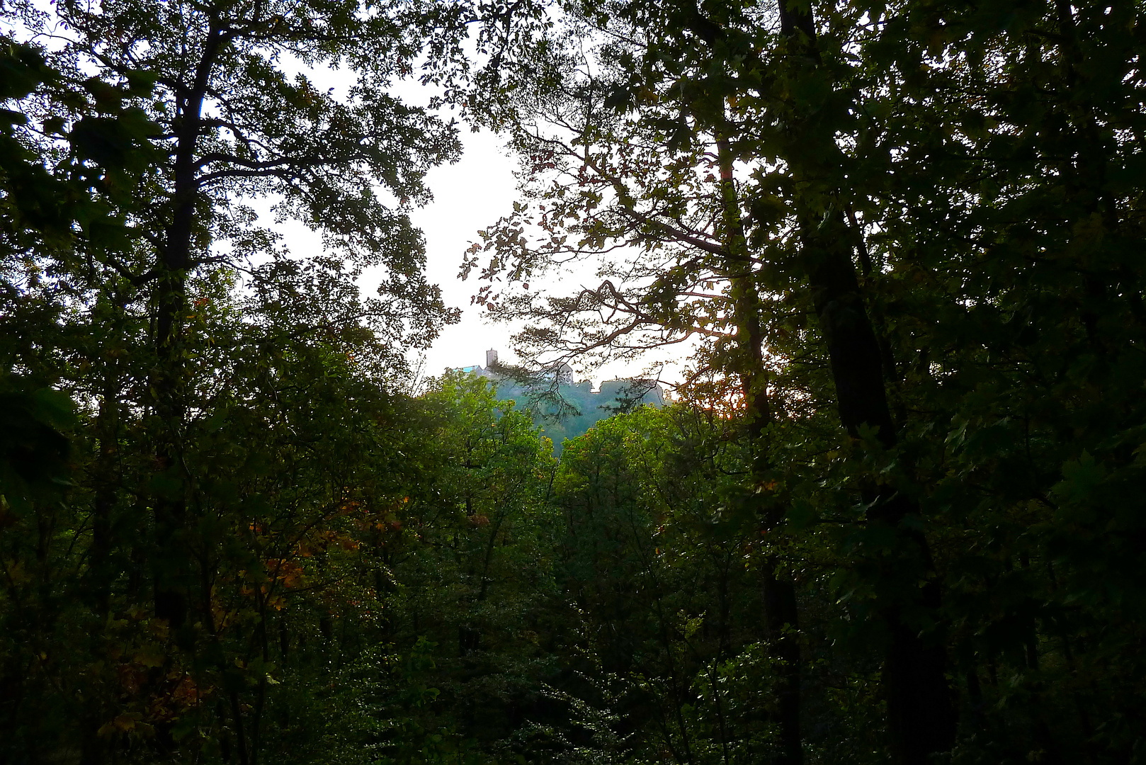 Durchblick zur Wartburg