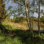 Durchblick zur Wasserfläche