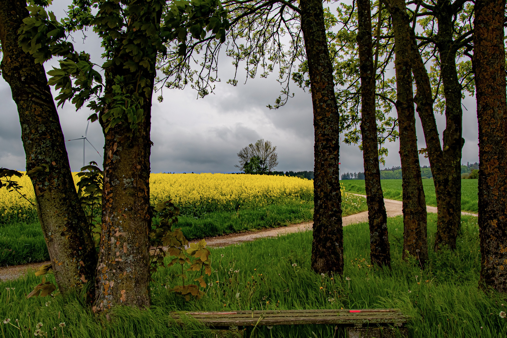 Durchblicke auf dem Feld