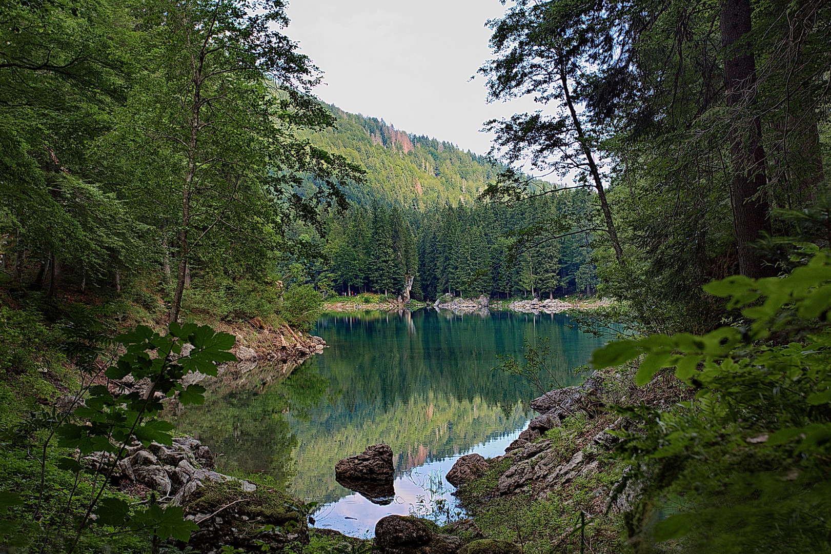 Durchblicke auf den morgendlich stillen See