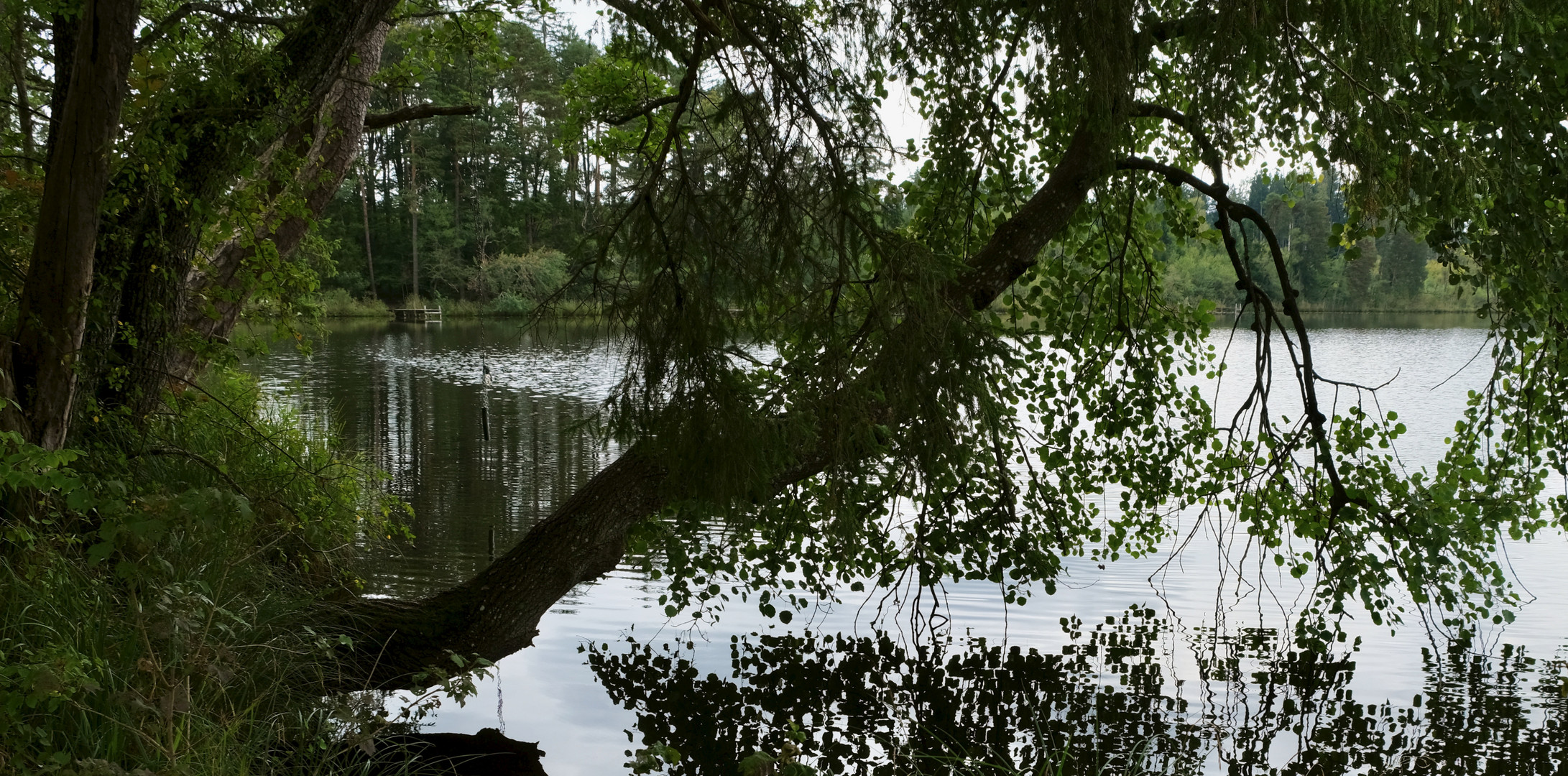 Durchblicke auf den Teich