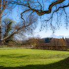 Durchblicke auf Herrenchiemsee