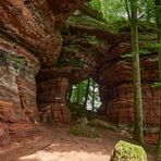 Durchblicke gibt es bei den Altschlossfelsen bei Eppenbrunn genug.