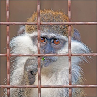 ... durchblickend ...