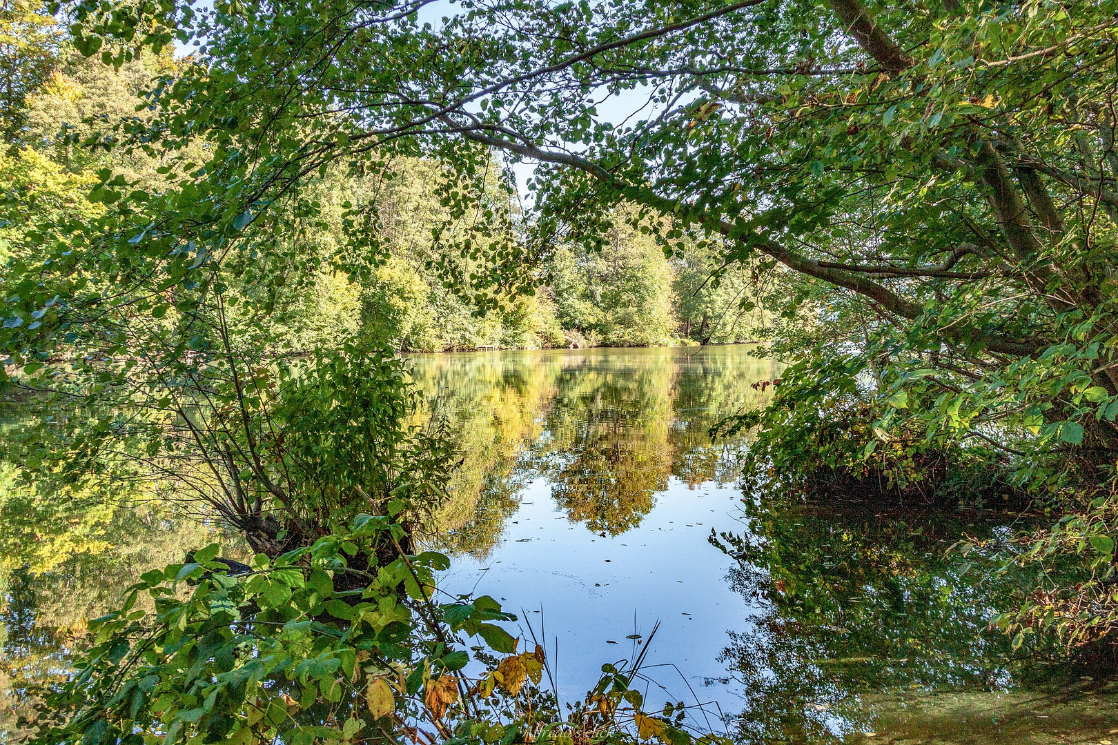 Durchblickend auf dem Weiher