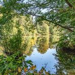 Durchblickend auf dem Weiher