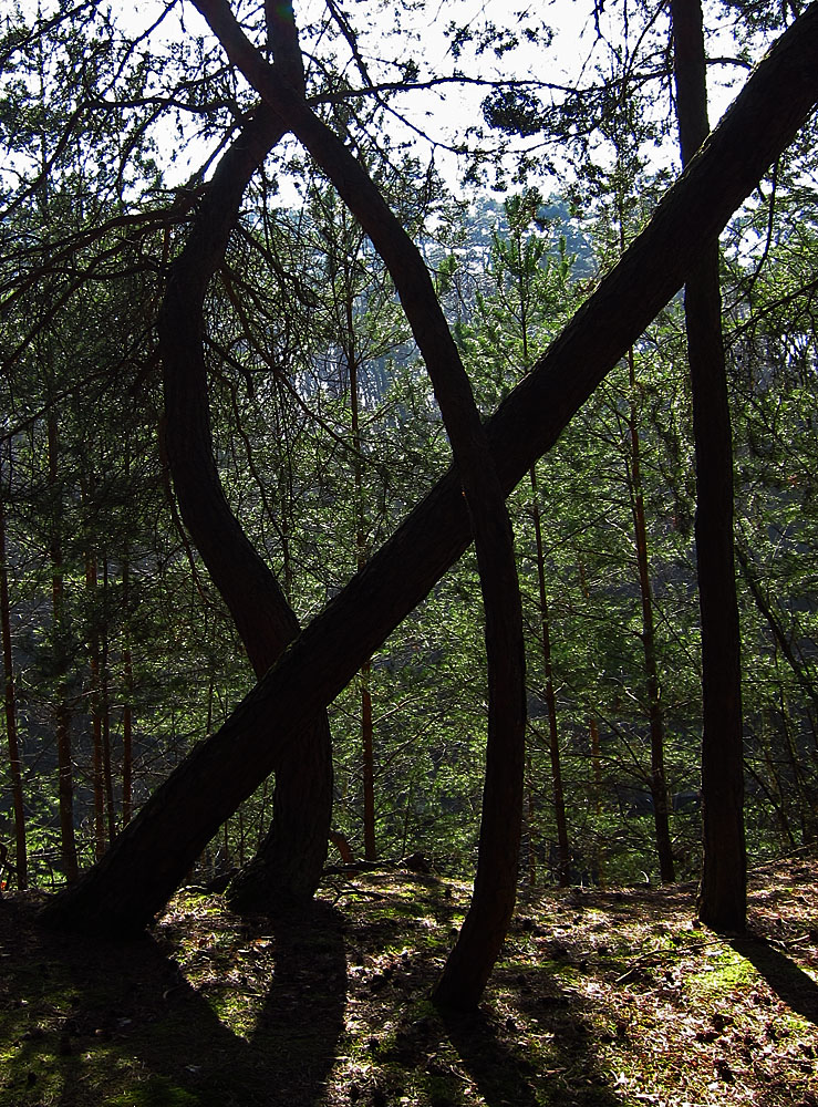 Durchblicktag:  der erste lange sonnige Tag