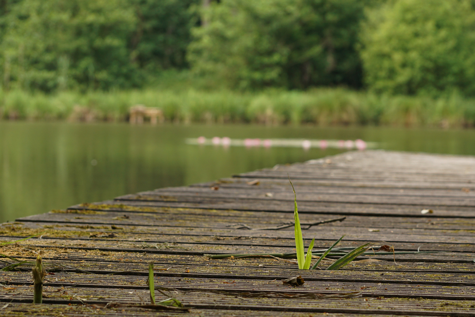 Durchbruch der Natur