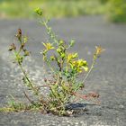 "Durchbruch" nichts ist für die Ewigkeit