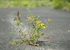 "Durchbruch" nichts ist für die Ewigkeit