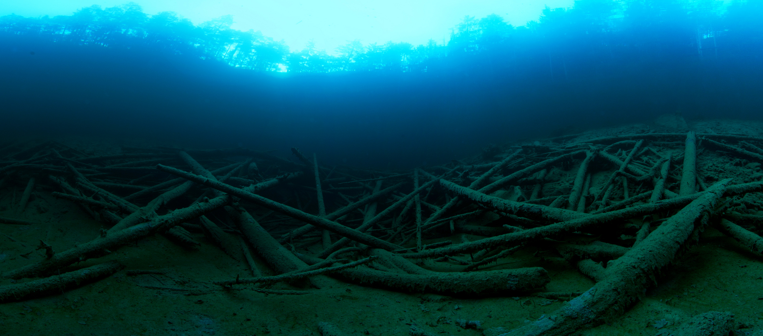 Durcheinander Foto &amp; Bild | unterwasser, uw-süsswasser, natur-kreativ ...