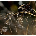 Durcheinander mit Tropfen und Reflexen