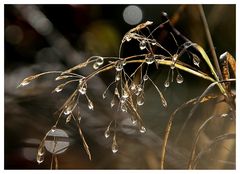 Durcheinander mit Tropfen und Reflexen