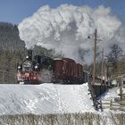 Durchfahrt am HP Forellenhof