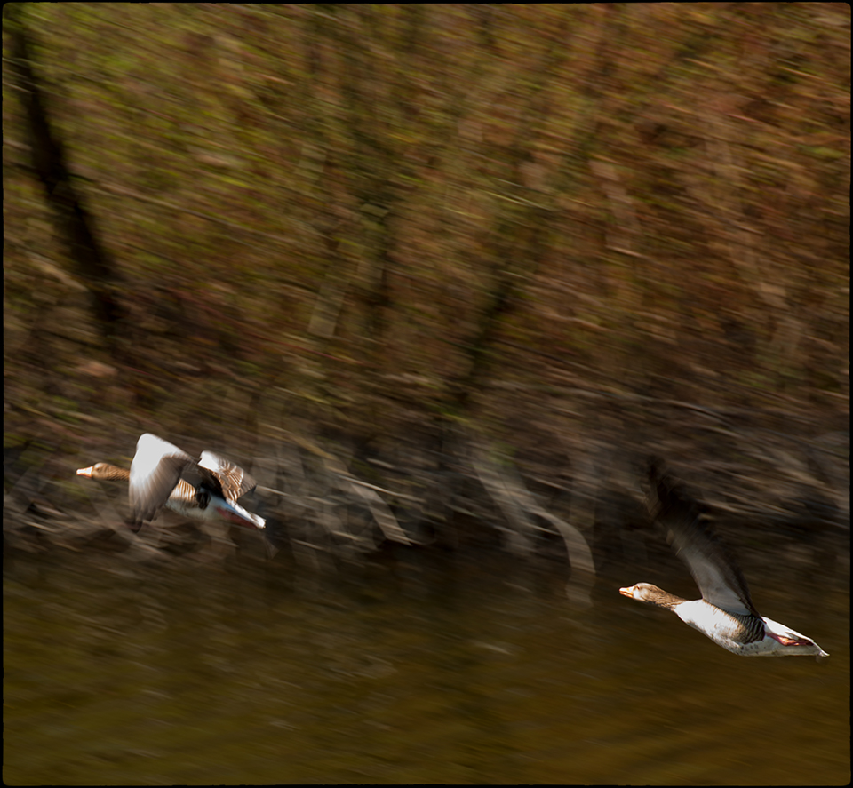 Durchflug