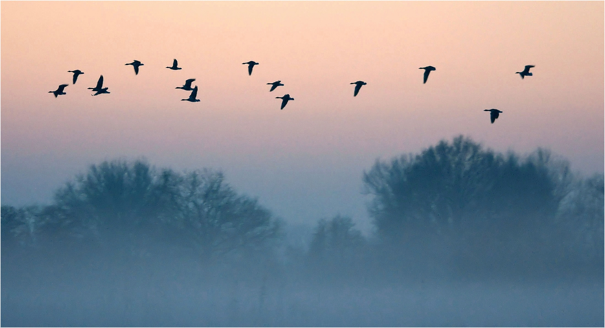 Durchflug im Nebel