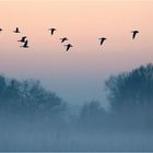 Durchflug im Nebel