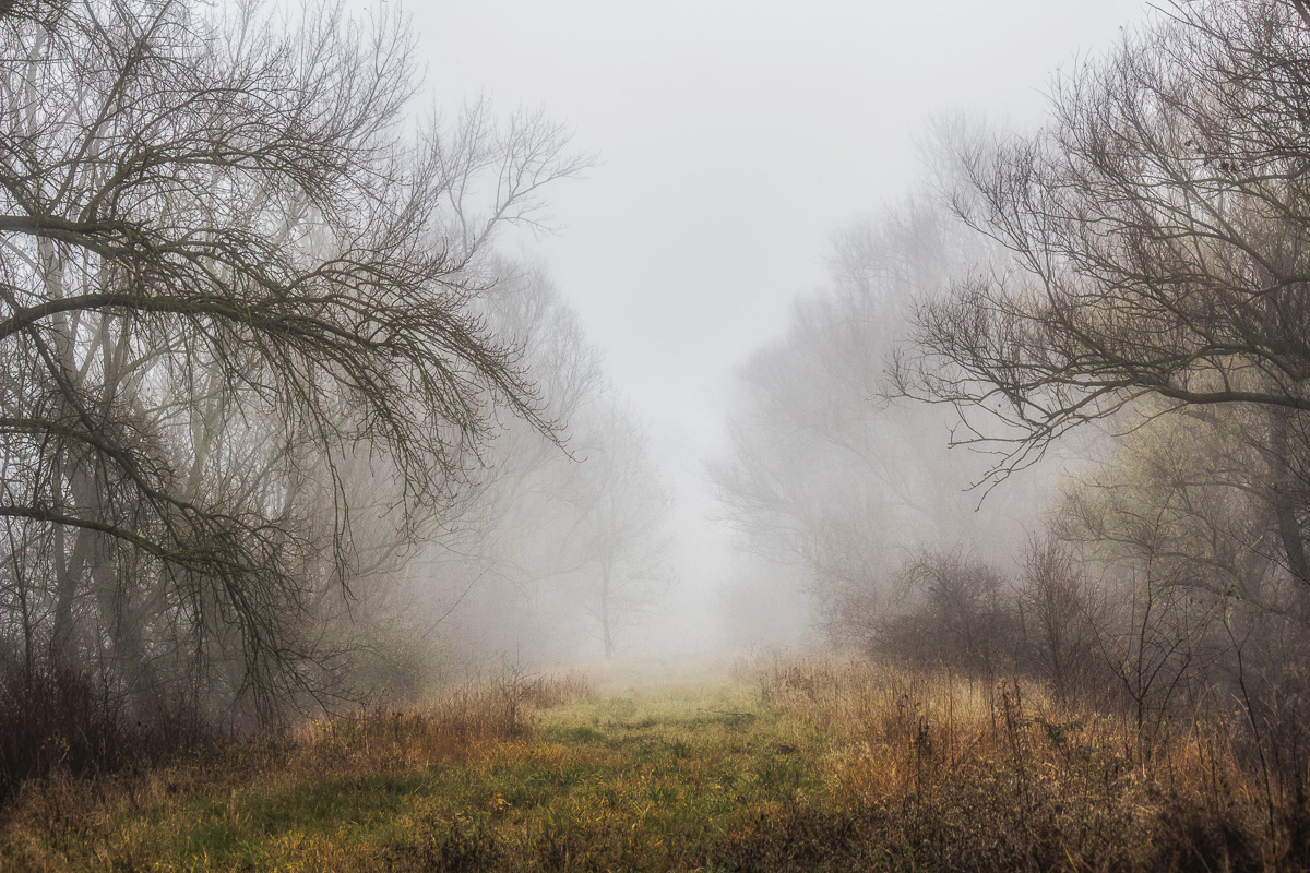 Durchgang im Nebel