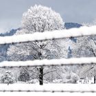 Durchgehen nicht möglich, Durchschauen schon ...