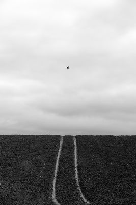 durchgekreuzte Absicht