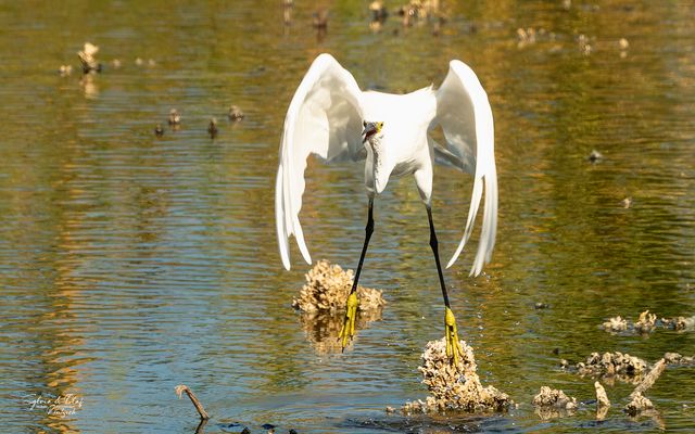 °°_Durchgestartet_°°