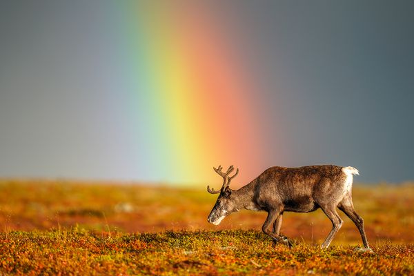 Durchhalten lohnt sich