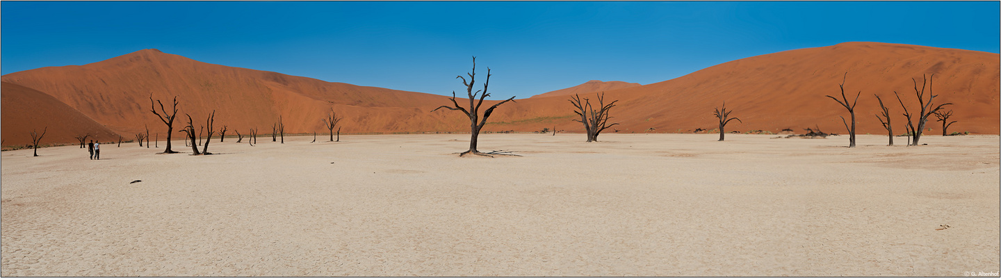 ...durch's Dead Vlei